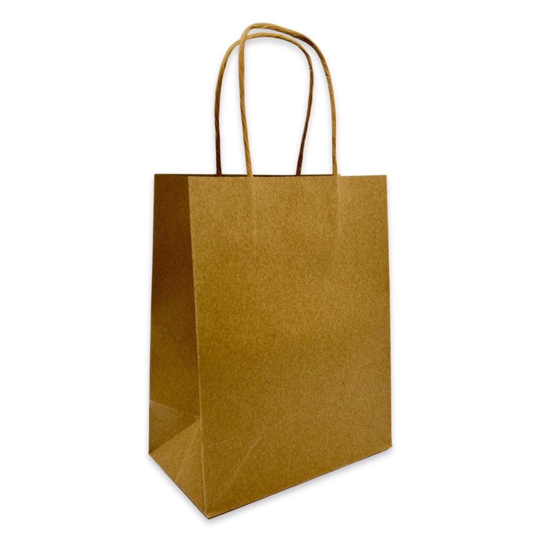 Recycled brown paper bag with twist handles